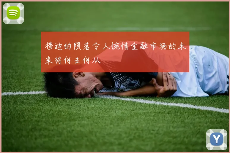 穆迪的陨落令人惋惜金融市场的未来将何去何从