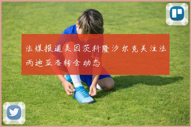 法媒报道美因茨科隆沙尔克关注法丙迪亚洛转会动态